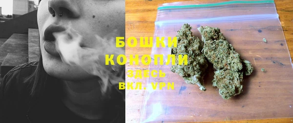 СК Калининец