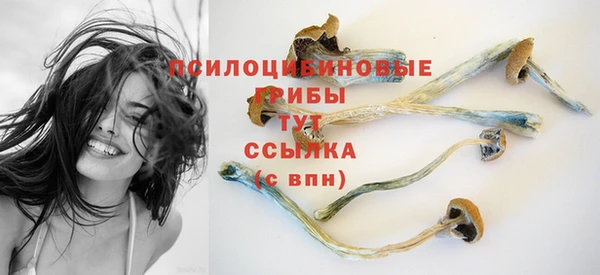 мяу мяу кристалл Коряжма