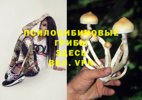 МДМА Корсаков