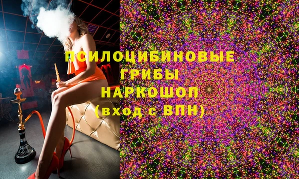 СК Калининец