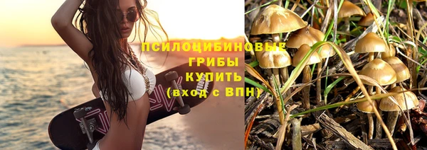 a pvp Костерёво