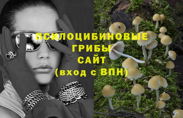мяу мяу кристалл Коряжма