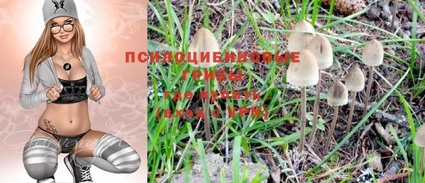 мяу мяу кристалл Коряжма