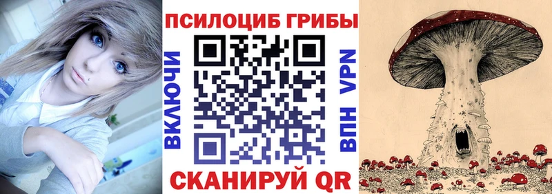 Галлюциногенные грибы Psilocybine cubensis  Йошкар-Ола 